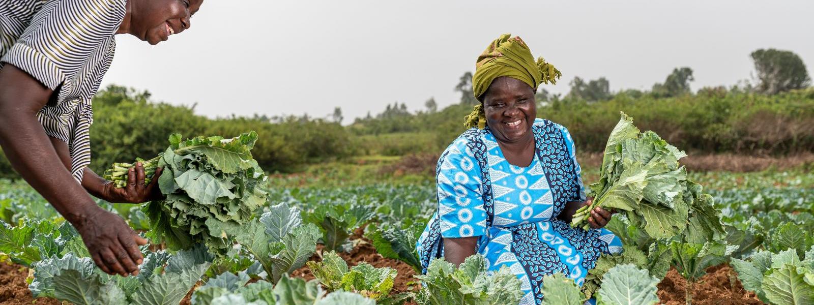 Woman in field