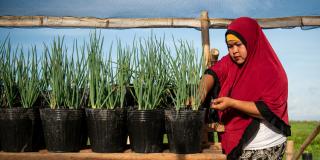 Woman planting