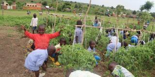 Children gardening