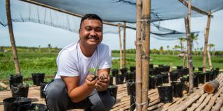 Volunteer planting seedlings