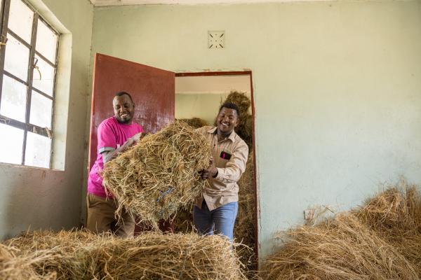 Volunteer and community member lift hay bales